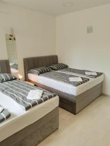 Apartments Petrova170 