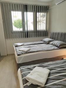 Apartments Petrova170 
