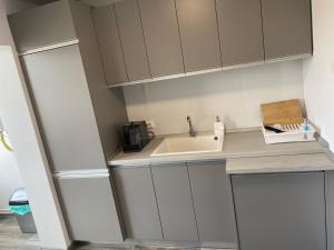 Alesandru apartament