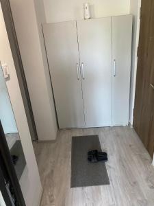 Alesandru apartament