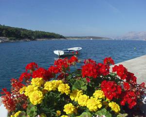 Apartments by the sea Povlja, Brac - 710