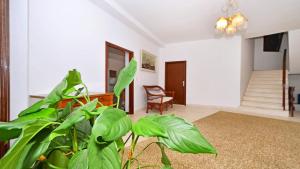 Seaside holiday house Slatine, Ciovo - 748