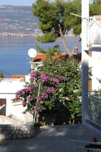 Apartments by the sea Slatine, Ciovo - 972