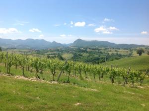 Vittoria Il Graditempo Country House