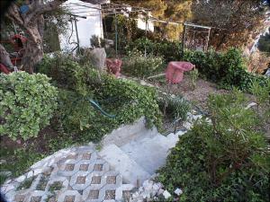 Apartments with a parking space Marusici, Omis - 1041