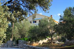 Apartments by the sea Ugljan - 846