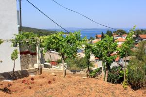 Holiday apartments Zman, Dugi otok - 887