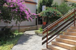 Apartment Sali 872a