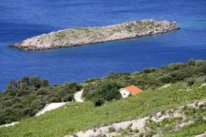 Holiday house with a parking space Dingac - Pristranj, Peljesac - 660 - Trstenik