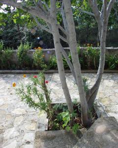 Apartments with a parking space Raslina, Krka - 924 