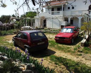 Apartments by the sea Susica, Ugljan - 841