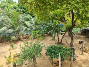 Nalluran illam - family room