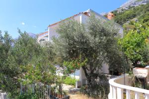 Apartments by the sea Pisak, Omis - 1006