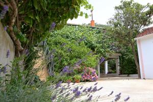 Apartments with parking space Bibinje, Zadar - 18843