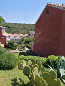 Apartments by the sea Duga Uvala, Marcana - 18939