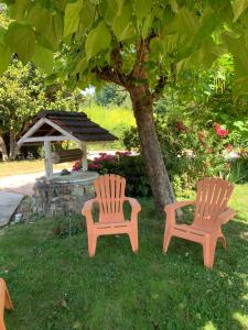 Maisons de vacances IRON MAN offer a villa located right on the river : photos des chambres