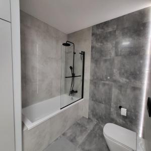 Apartament Vincent