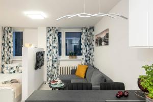 ShortStayPoland Śliska (B88)