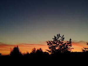 Kleines Studio im Eichenwäldchen, 1 Zimmer Küche Bad