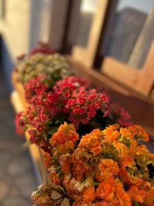 Chalé House Falkenberg