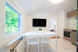 Tolstov Apartments - 3 Room Apartments with Garden - 20 Min Messe DUS & Airport DUS