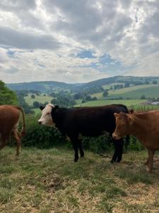 Barn in Somerset Romantic Hideaway