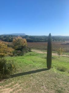 Villas Domaine au coeur des vignes, tout pres d'Aix. : photos des chambres