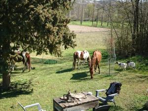 Maisons de vacances Comfortable Quiet House in the countryside Porte-du-Quercy for 8 people : photos des chambres