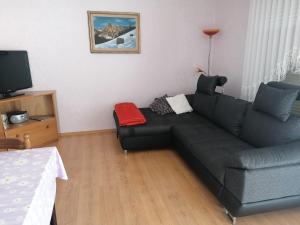 APARTMAJI VALTER 