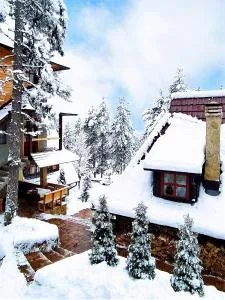 SVETLA U PLANINI - Jevtići