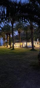 Panoramic Suite Beach