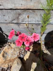 The Wee Hoose near Loch Ness, private garden, private parking