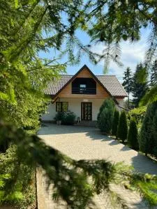 Pensiunea Ionela - Comăneşti