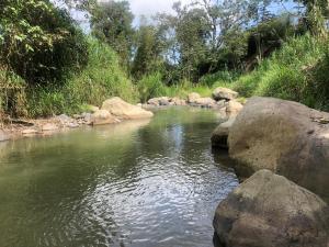 Cabaña tipo glamping en finca cafetera con zonas verdes, avistamiento de aves, paisaje cafetero