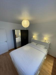 Appartements Pleasant T2 in the center of Tours : photos des chambres