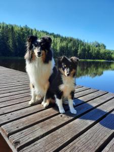 saunamökki Rauhala,LaatuLomat