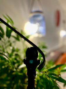 Moroni Trastevere Cozy Apartment