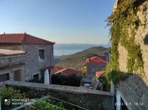 Traditional village house