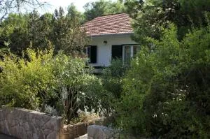 Apartments by the sea Mudri Dolac, Hvar - 4042 - Vrbanj