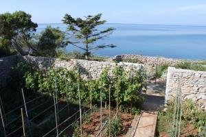 Apartments by the sea Mali Losinj (Losinj) - 3483