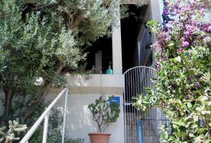 Apartments by the sea Milna, Vis - 1146