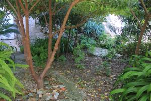 Apartments by the sea Vis - 1155