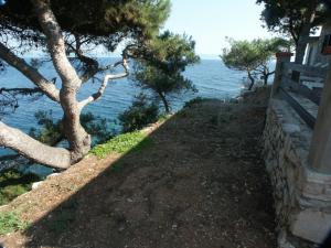 Seaside secluded apartments Cove Srhov Dolac, Hvar - 2072