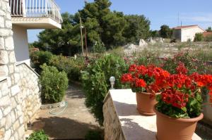 Apartment Zablace 4251d