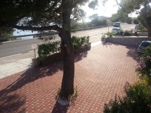 Apartments by the sea Bilo, Primosten - 4208