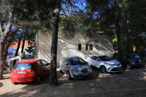 Studio Balica Rat 1065a
