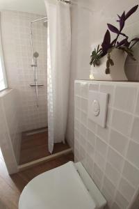 Apartments by the sea Plat, Dubrovnik - 2136