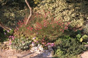 Apartment Medulin 2253a