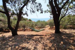 Family friendly seaside apartments Cove Torac, Hvar - 2071