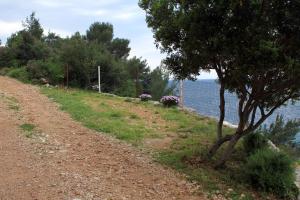 Seaside house for families with children Cove Skozanje, Hvar - 4039